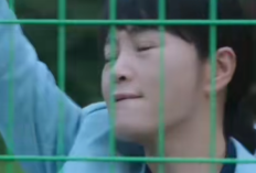 Apakah Unmasked Bakal Lanjut ke Season 2?