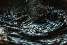 Profil Tampang Natasya Hutagalung Mahasiswi Yogyakarta yang jadi Korban Penyiraman Air keras oleh Kekasihnya Billy Vilsen, Ternyata Bukan Orang Sembarangan?