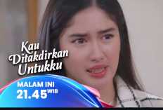 Inilah Dia Deretan Rating TV dan Sinetron dengan Program terbaik per Senin, 12 Mei 2025 ada Kau Ditakdirkan Untuk Ku yang Gagal Masuk 10 Besar