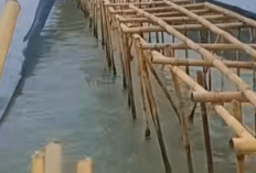 Ahmed Zaki Iskandar Eks Bupati Tangetang, Membantah Keterlibatan Dalam Pagar Laut di Tangerang!