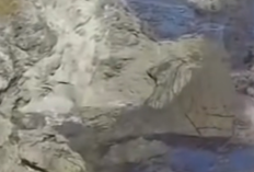 Azka Nur Fadhilah Anaknya Siapa? Inilah Sosok Wisatawan Jakarta Timur yang Hilang di Pantai Siung, Bukan Orang Sembarangan?