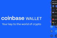 Daftar 5 Dompet Crypto Paling Populer yang Banyak Digunakan & Aman