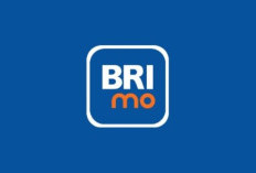 Aplikasi BRImo Error Hari Ini, 21 Maret 2025: Penyebab Gangguan dan Cara Mengatasinya