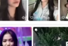 Profil Tampang Sabrina Willa Elvaretta Penyanyi Dangdut yang Dilecehkan Saat Sedang Live Hingga Sang Pacar jadi Tersangka Pembunuhan, lengkap: Umur, Agama dan IG