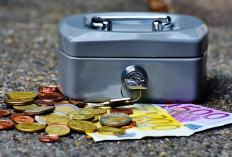 Magic Brain: Aplikasi Game Penghasil Saldo Dana 2024, Apakah Terbukti Membayar?