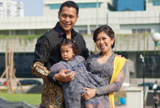 Profil Tampang Noer Fajrieansyah Mantan Direktur PT dan Suami Menkomdigi Meutya Hafid Diduga Terlibat Kasus Korupsi Gula, Lengkap dari Umur, Agama dan Akun IG