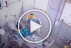 NO SENSOR! Video Bukti CCTV Terbaru Priguna Anugerah Pratama Oknum Dokter PPDS Saat Merudapaksa Pasien 3 Menot 21 Detik, Fakta Atau Hoax Isinya?
