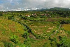 Surganya Petualangan di Tengah Jawa Tengah Yuk Berkunjung ke Kabupaten Kendal yang Sudah ada Sejak 476 Tahun Kini Memutuskan Gabung dengan Semarang