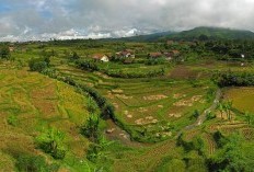4 Kabupaten Jawa Tengah Siap Melangkah, Semarang Kehilangan Tetangga Demi Bentuk Provinsi Muria Raya dengan Total Luas 5.677 km2 