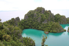 Air Berubah Jadi Cokelat, Warga Pulau Gag Raja Ampat Keluhkan Dampak Limbah Tambang Nikel