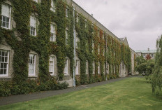 Siap Jadi Siswa Eligible SNBP 2025? Inilah 3 Tips Wajib Disiapkan