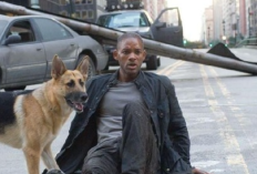 Jadwal Program Televisi Jumat, 20 Februari 2026 ada Film Black Adam, I Am Legend dan First Kill di ANTV, GTV, Indosiar, MDTV, Metro TV, MNCTV, RCTI, SCTV, Trans 7, Trans TV dan TVONE serta Link