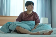 Apakah Film Wall to Wall Dibintangi Kang Ha Neul, Akan Lanjut Season 2?