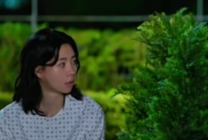  Kembali Tayang Nice to Not Meet You Episode 11–12 Sub Indo bukan LK21 tapi di KST: Titik Balik Emosional yang Mengguncang Hati Penonton