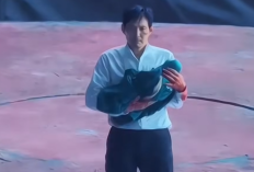 Squid Game Season 3: Jadwal Tayang, Jumlah Episode, dan Fakta Seru yang Wajib Diketahui