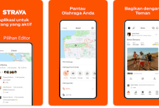 Panduan Membuat Strava Year in Sport 2025 untuk Dibagikan ke Media Sosial
