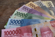 Kapan THR PNS 2025 Cair? Ini Jadwal dan Besarannya