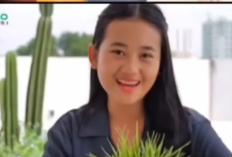 Apa Pekerjaan Aura Cinta? Remaja yang Debat Dedi Mulyadi Perkara Wisuda Dihapus, Benarkah Pernah Promosikan Aplikasi Pinjol?