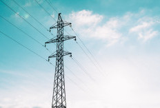 Bagaimana Cara Dapatkan Listrik Diskon 50 Persen dari PLN untuk Listrik Token dan Listrik Biasa di Bulan Januari-Februari 2025?