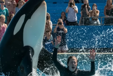 Viral Video Jessica Radcliffe Ditelan Paus Hidup-Hidup: Fakta atau Hoaks? Simak Penelusurannya