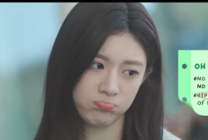 Nonton Drakor Resident Playbook Episode 1-2 Sub Indo & Spoiler Lengkap dengan Link di Netflix Bukan LK21: Kisah Oh Yi-young dan Para Residen Muda