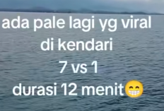 VIRAL! Video Kendari 1 vs 7 Full Durasi 12 Menit 31 Detik di Mediafire, Awas UU ITE Mengancam!