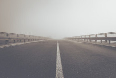 Rp5,44 Triliun Disiapkan untuk Buat Jalan Tol Pertama di Jawa Tengah dengan Bahan Baku Utama Makanan Panda