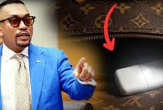 Apa Isi Flashdisk Ahmad Sahroni yang Heboh di Medsos, Ini Faktanya