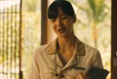 Apakah Bakal ada The White Lotus Season 4?