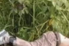 Siapa Mohammad Ilham Pradipta? Kepala Cabang Bank BUMN yang jadi Korban Penculikan dan Pembunuhan Diduga Dilakukan Oleh Anak Buahnya