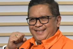 Hasto Kristiyanto Dapat Amnesti dari Presiden Prabowo Subianto: Apa Itu Amnesti dan Mengapa Menjadi Sorotan Nasional?