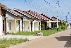 Kebijakan Baru Pajak Properti & Dampaknya Pada Pemilik Rumah