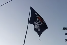 Selain One Piece, Bendera Akatsuki Juga Viral Jelang HUT RI ke-80: Simbol Perlawanan atau Hanya Tren Sosial Media?