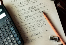 PPPK Jalur RTG: Penjelasan dan Syarat-syaratnya yang Viral Akibat Ulah Guru Honorer Erlinda Alyanuari