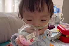 Maria Abigail Sakit Apa? Inilah Biodata Anak TikToker Ellen Oey yang Meninggal Dunia di Usia 4 Tahun, Benarkah Akibat Radang Paru-Paru?