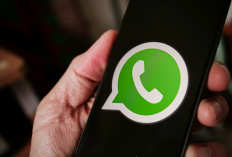 Cara Rahasia Melihat Status WhatsApp Tanpa Ketahuan, Mudah dan Praktis! 