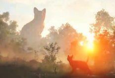 Rekomendasi 6 Pasang Film Double Feature Terbaik 2024 untuk Menemani Begadang Maraton 