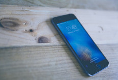 Apa Itu  Go Share APK? Benarkah Bisa Menghasilkan Uang 1 Juta?