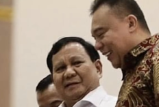 Prabowo dan Megawati Segera Bertemu! Politisi Gerindra Sufmi Dasco Matangkan Rencana Besar