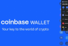 Daftar 5 Dompet Crypto Paling Populer yang Banyak Digunakan & Aman